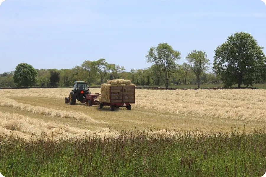 South Kingstown Land Trust 