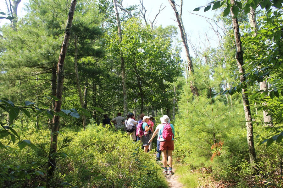 Learn about South Kingstown Land Trust and how 1% for the Planet contributions help preserve open spaces and protect natural resources for local communities.