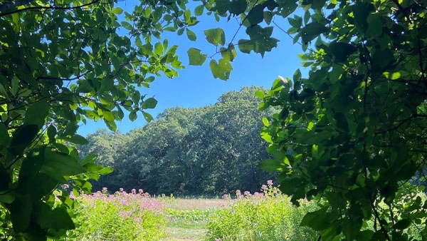 Ways to connect with nature, environmental programs, 1% for the Planet, sustainable clothing, Patagonia apparel, eco friendly living, Patagonia sustainable