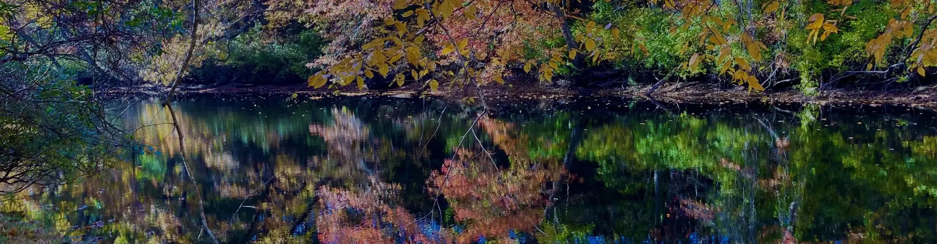 Learn how our contributions support Westerly Land Trust in conserving open space, running environmental programs and ways to connect with nature.