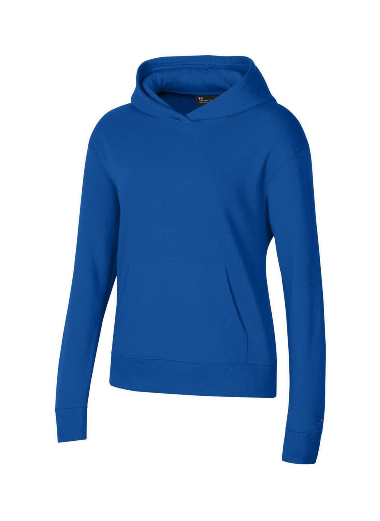 Under Armour Women's Royal All Day Fleece Hoodie