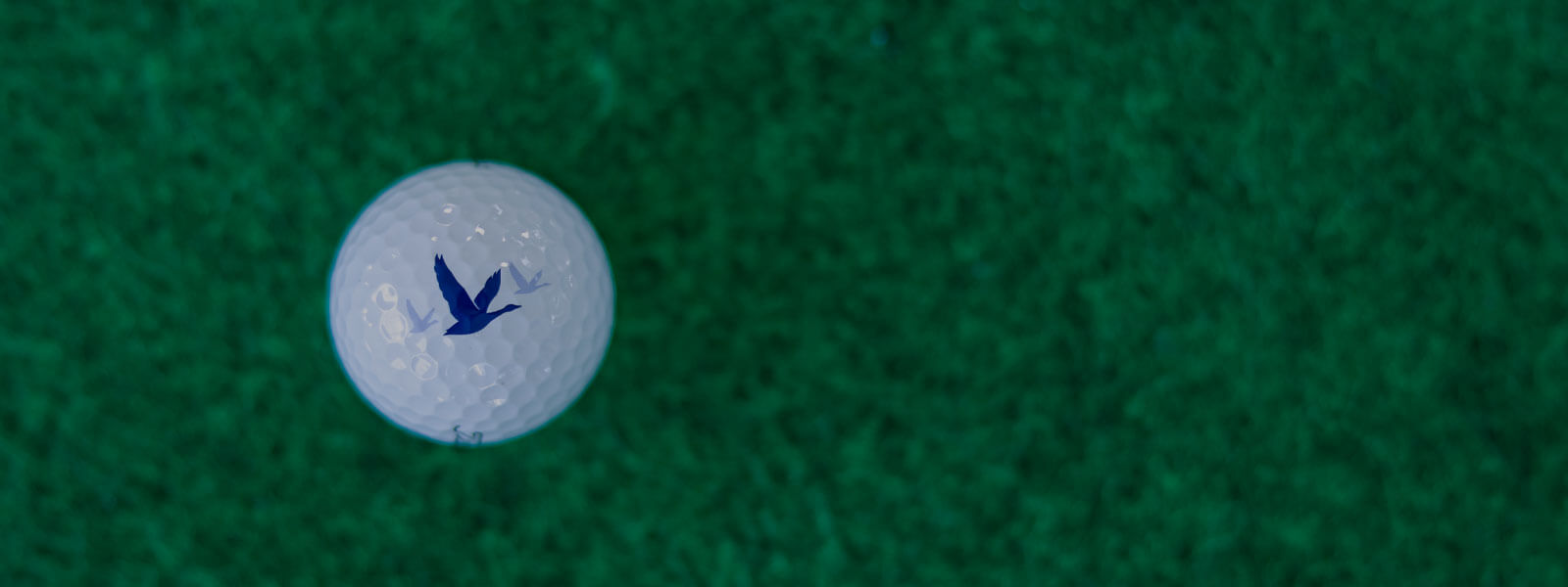 Custom Golf Balls. Printed Golf Balls. Corporate Gifts. Corporate Events. Custom Golf Gifts.